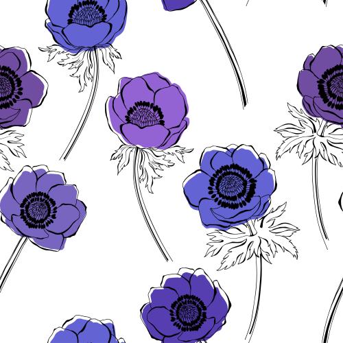 Anemone. Vector anemones black outlines and colored fragments on white