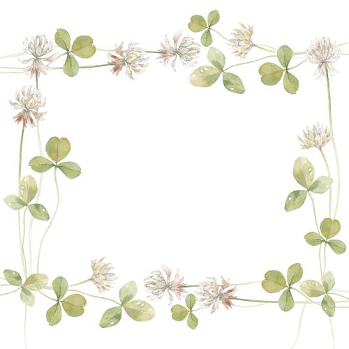 Raster image clover, watercolor flowers and leaves, square frame on white