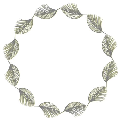 Feather. Vector round frame of stylized feathers on white