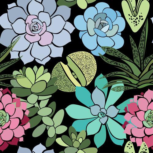Succulent. Vector succulents on black