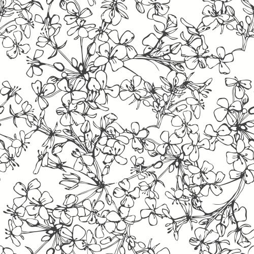 Vector image abstract flower clusters on white contour drawing