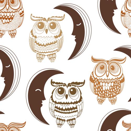 Owl. Vector cute cartoon owls and moon on white