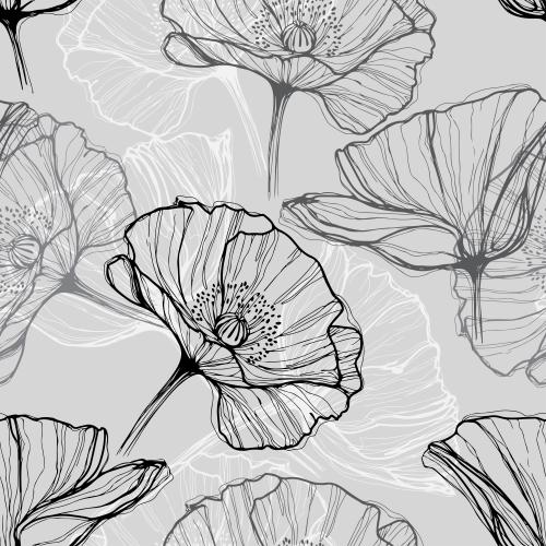 Poppy. Vector poppies monochrome outlines on gray