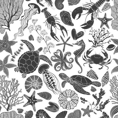 Nautilus. Vector marine animals, corals, algae, sea stars, shells, black silhouettes on white