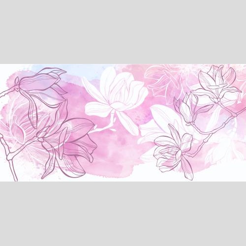 Bud. Vector magnolia contours and silhouettes on watercolor