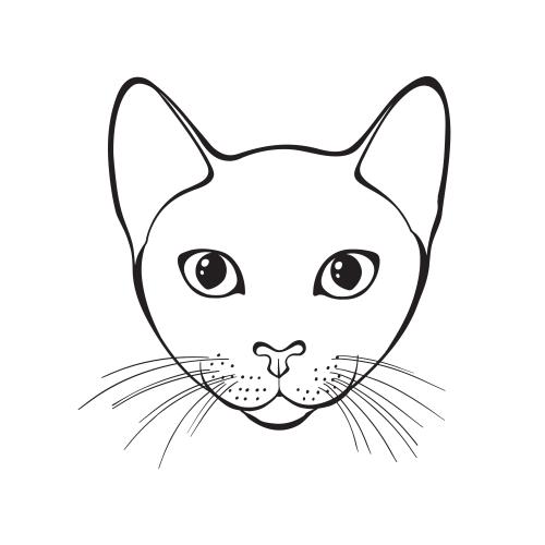 Illustration cute cat face on white