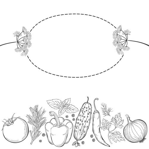 Basil. Vector oval frame, vegetables, culinary herbs on white