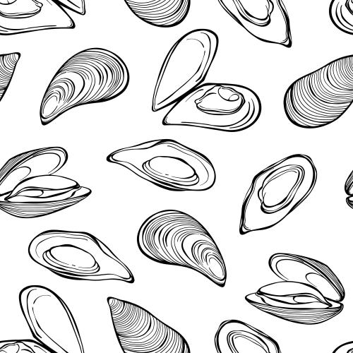 Mussel. Vector midi contours on white