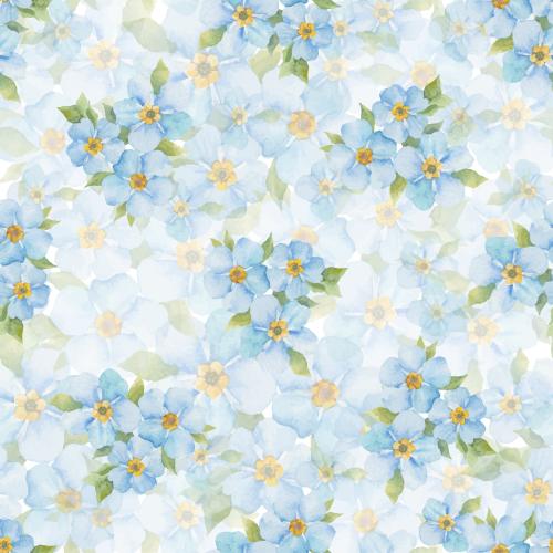 Forget-me-not. Vector watercolor forget-me-nots