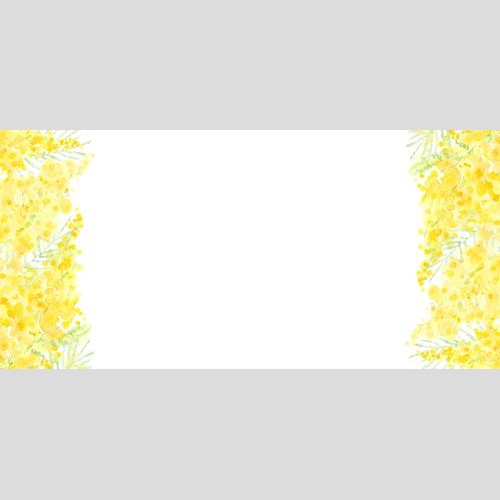 Raster image watercolor mimosa, place for text on white