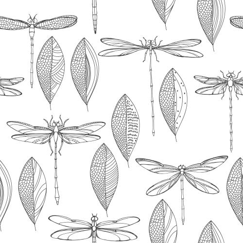 Dragonfly. Vector dragonflies and decorative leaves, black outlines on white