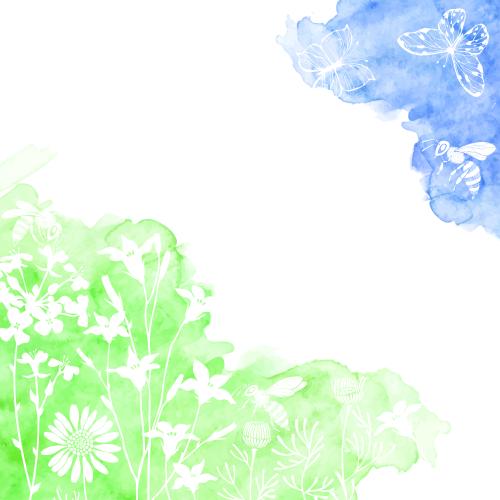 Clover. Vector butterflies, bees, meadow flowers, blue and green watercolor fragments, space for text on white