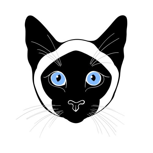 Siamese cat. Vector siamese cat, colorful cute face on white