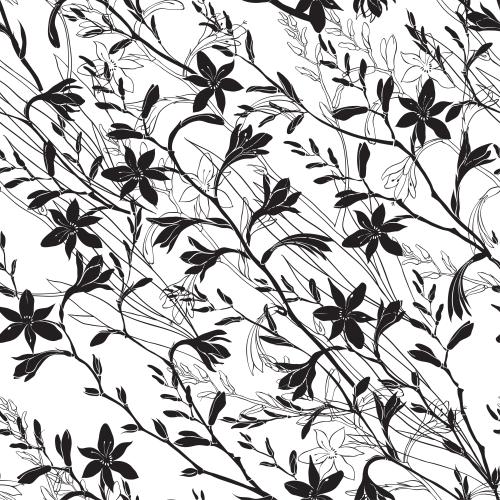 Montbretia. Vector montbrézia black outlines and silhouettes of flowers on white