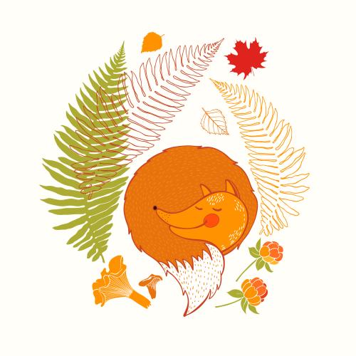 Cloudberry. Vector sleeping fox chanterelle mushrooms cloudberry fern leaves autumn composition on white