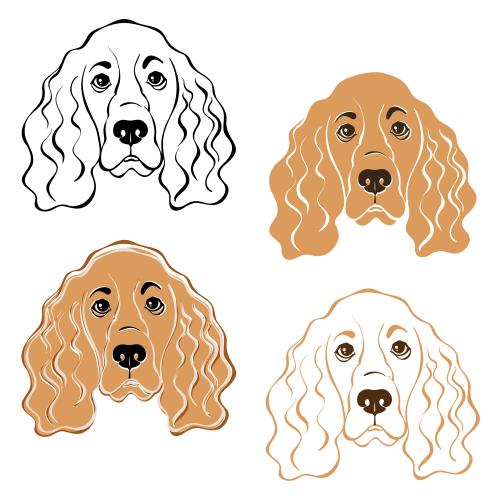 Spaniel. Vector spaniel four cute faces on white