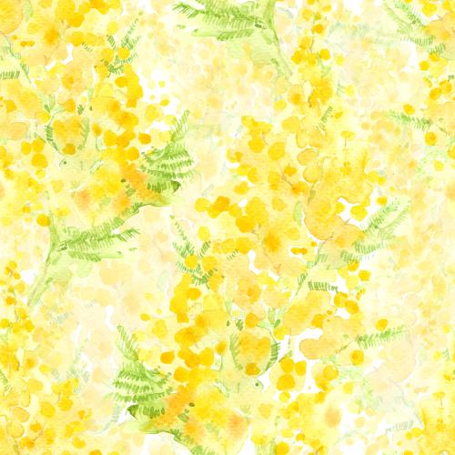 Raster image watercolor mimosa on white