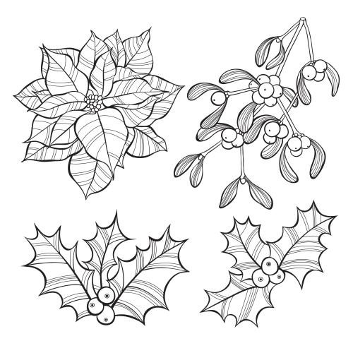 Mistletoe. Vector poinsettia mistletoe and holly contour drawing on white