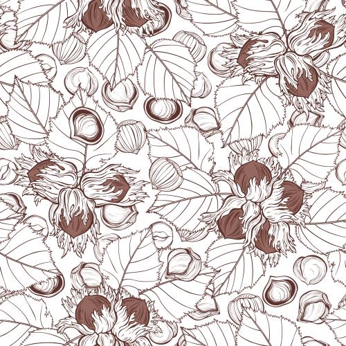 Hazelnut. Vector hazelnuts, forest nuts with leaves in the shell and without on white