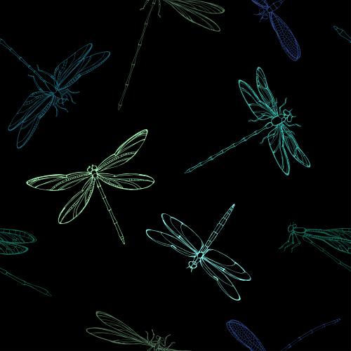 Dragonfly. Vector multicolored dragonflies on black