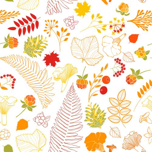 Cranberry. Vector leaves cones boletus mushrooms cloudberry cranberry rowan berries on white