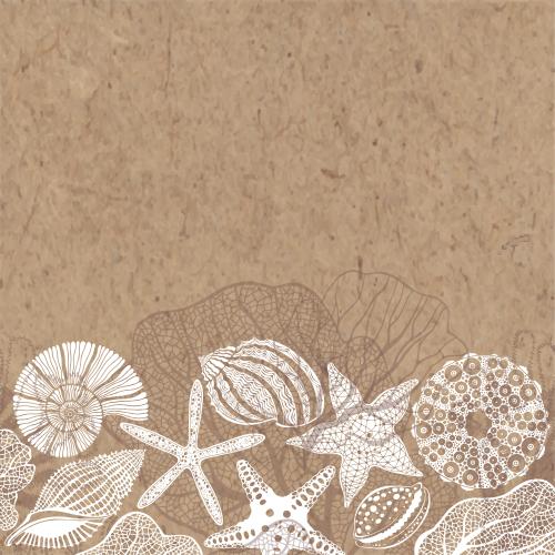 Illustration sea stars shells nautilus sea urchin corals white and brown silhouettes space for text on craft