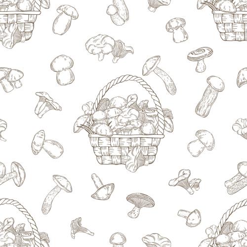 Vector image boletes, funnel chanterelles, white mushrooms, birch boletes, aspen boletes, russulas, slippery jacks, and mushrooms in a basket on white