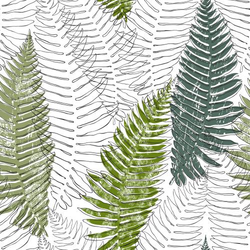 Fern. Vector Pattern ferns contours and textured silhouettes on white