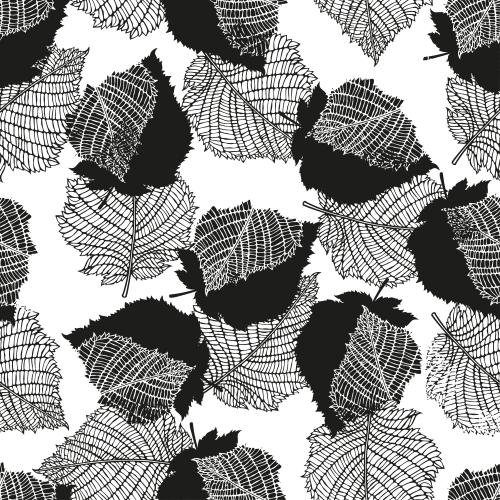 Vector image black silhouettes and lace contours of leaves on white