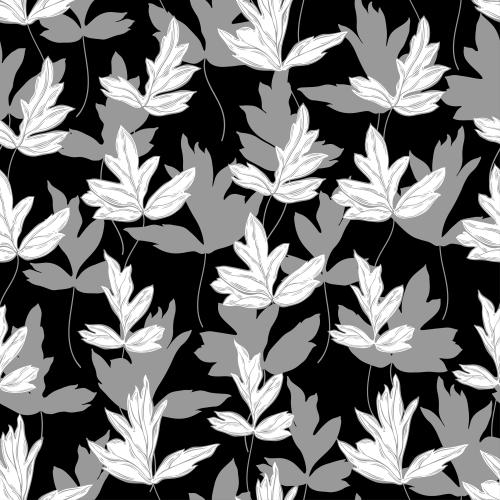 Vector image leaves, contours and silhouettes on black