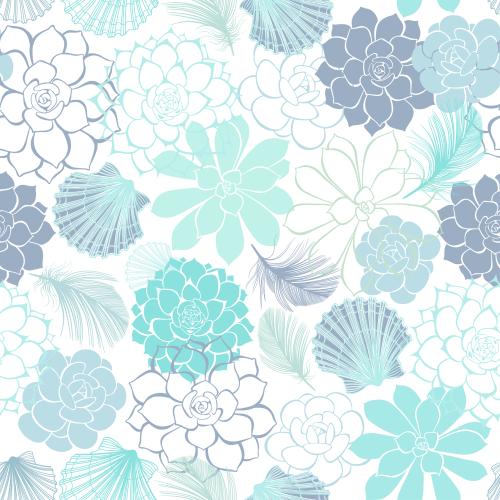 Shell. Vector succulents, feathers, shells on white