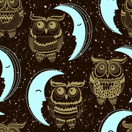 Owl. Vector cartoon owls moon and decorative star-spots on black