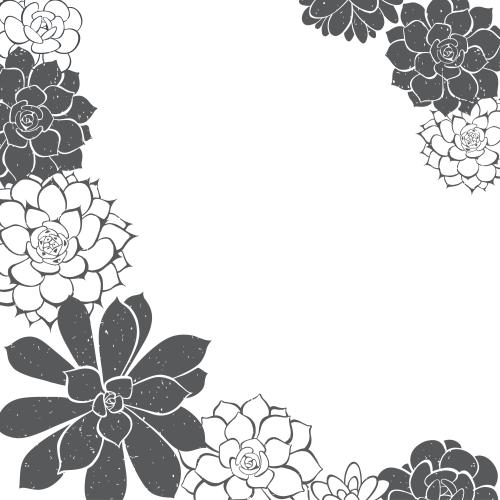 Succulent. Vector succulents, black silhouettes and outlines on white, corner composition with a text area