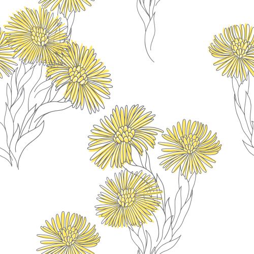 Coltsfoot. Vector flowers mother-and-stepmother on white