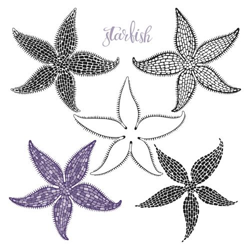 Illustration sea stars on white, five options