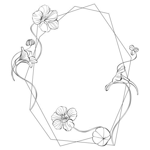 Nasturtium. Vector geometric frame with nasturtiums on white