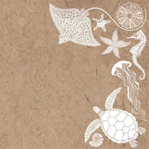 Nautilus. Vector tortoise ray seahorse jellyfish sea stars sea urchin corals craft text area