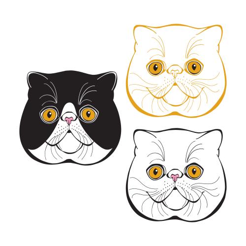 Exotic cat. Vector exotic cat, cute faces on white, three options