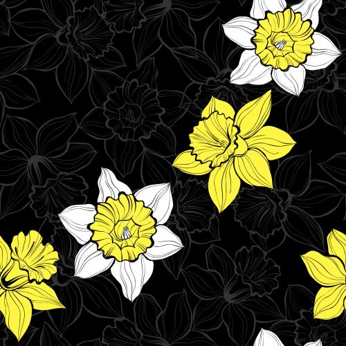 Daffodil. Vector daffodils on black