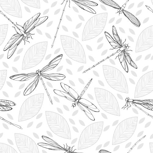 Dragonfly. Vector monochromatic dragonflies and leaves on white