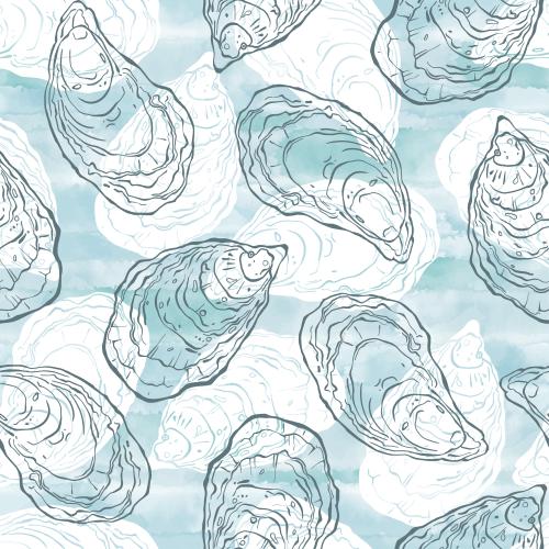 Oyster. Vector oysters contours and white silhouettes on blue watercolor