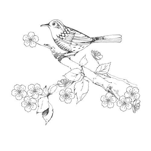 Tree. Vector bird sitting on a branch of a blooming tree sketch on white