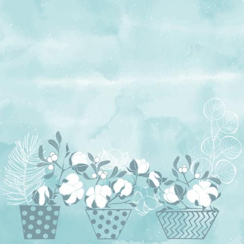 Cotton. Vector cotton branches, eucalyptus, pine, mistletoe, cones in small pots, space for text on a blue watercolor