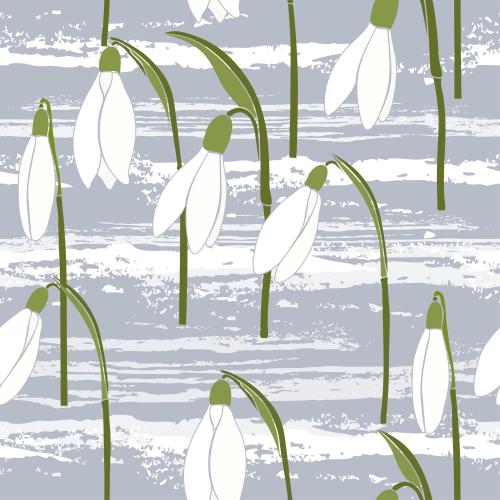 Spring. Vector snowdrops snow on gray