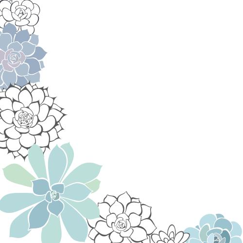 Succulent. Vector succulents colorful silhouettes contours on white corner composition with a text area