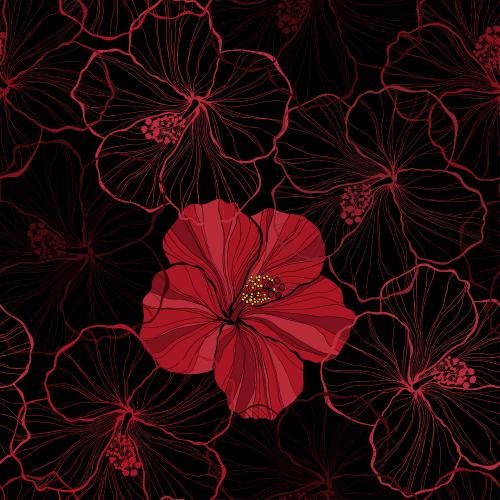 Summer. Vector bright silhouette and contours of hibiscus flowers on black