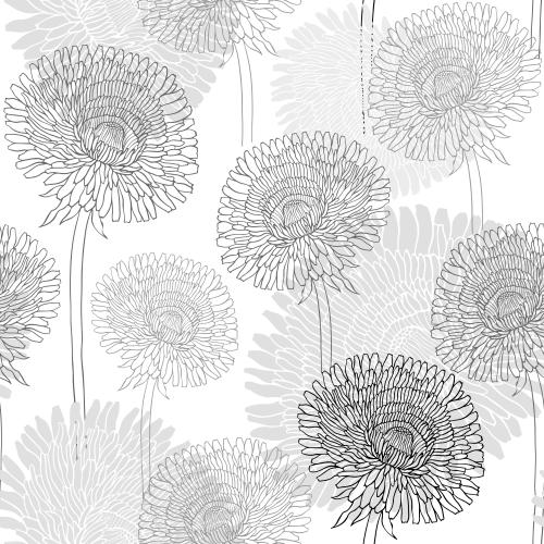 Dandelion. Vector dandelion flowers contours and silhouettes on white