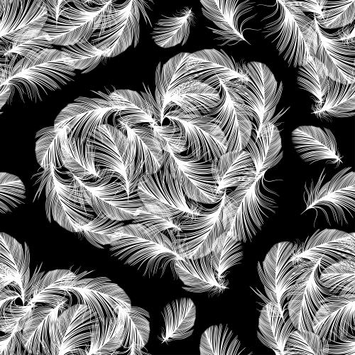 Vector image heart-shaped white feathers on black