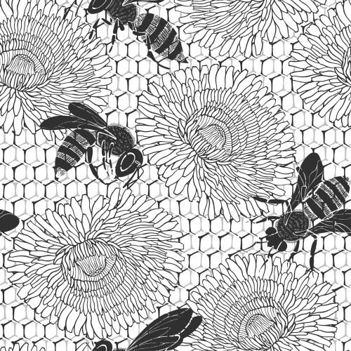 Dandelion. Vector monochrome bees honeycombs dandelions on white