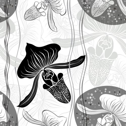 Orchid. Vector orchids contours and silhouettes on white
